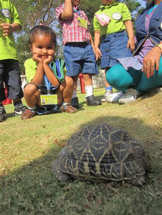Children meeting a rescued animal at a Nature Curiosity session