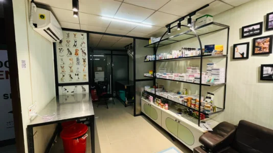 The clinic team